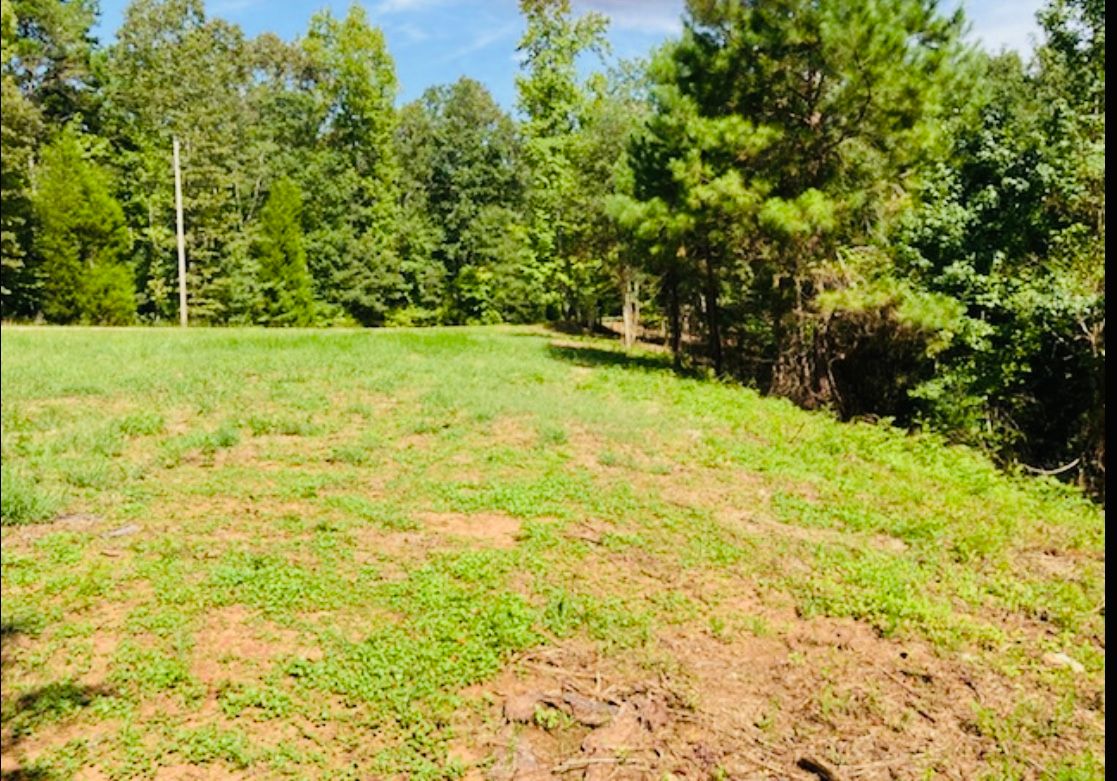 Lot 33 Woodgate Shores Dr: Lot 33 Woodgate Shores Dr, Wedowee, AL 36278